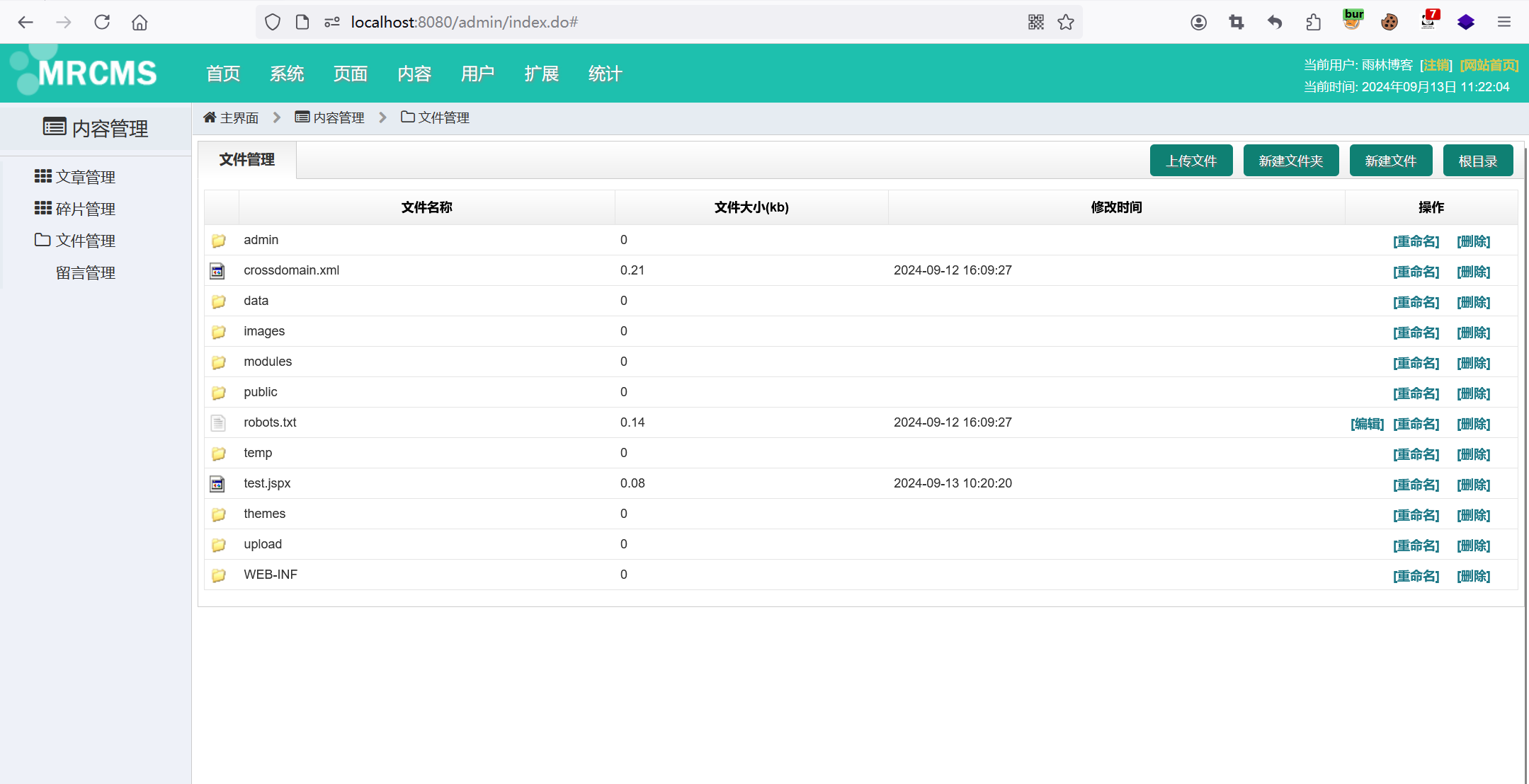 某小型CMS漏洞復現審計